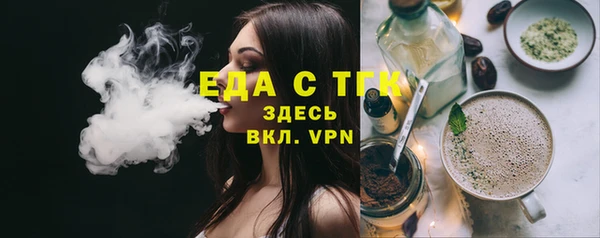 гашик Новозыбков
