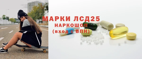 гашик Новозыбков