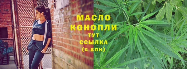 гашик Новозыбков