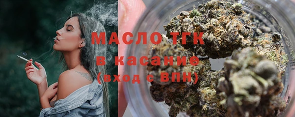 гашик Новозыбков