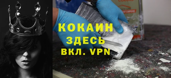 гашик Новозыбков