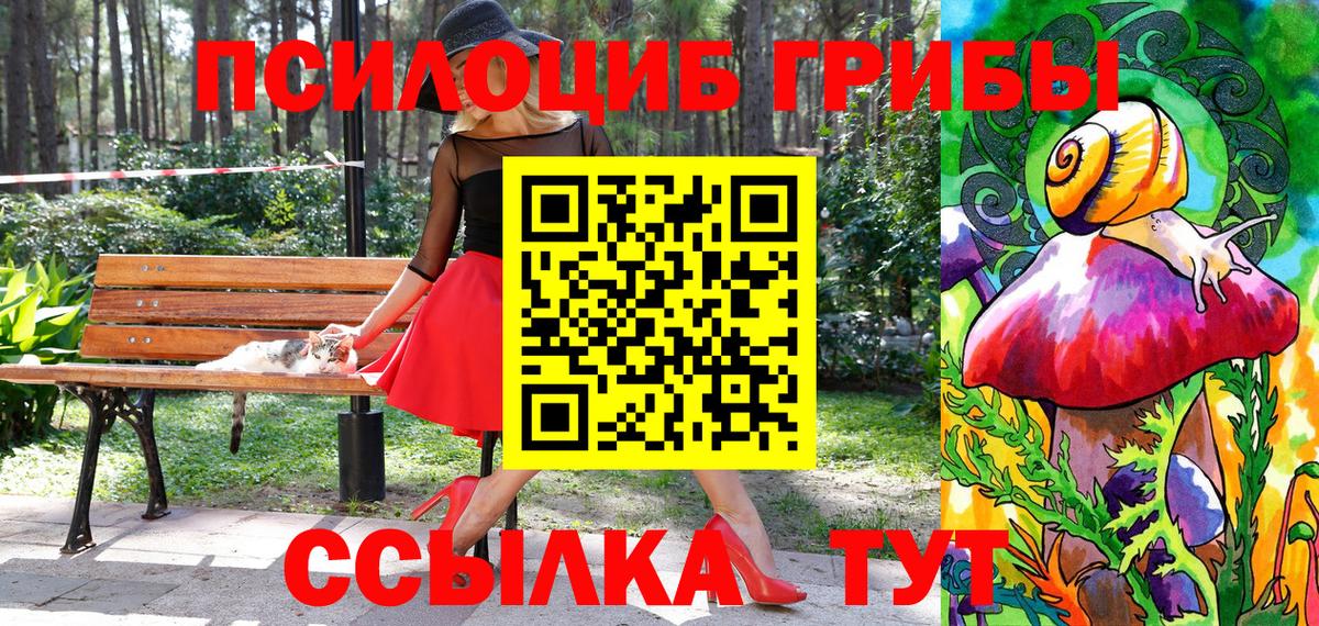 Галлюциногенные грибы GOLDEN TEACHER Апрелевка