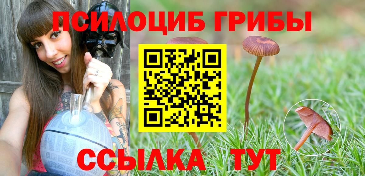 Псилоцибиновые грибы Psilocybe  Вход с VPN  Апрелевка 