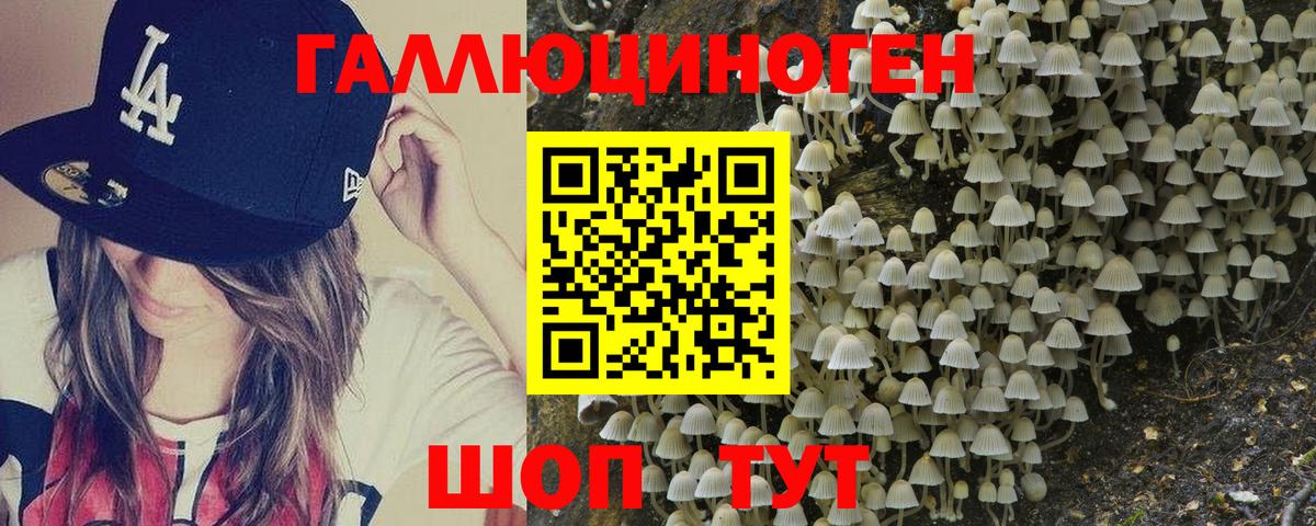 Галлюциногенные грибы GOLDEN TEACHER Апрелевка